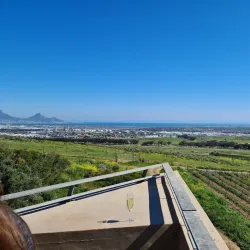 Durbanville Wine Route - Brackenfell