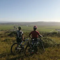 Klipheuwel Hiking Trails - Brackenfell