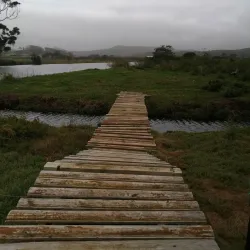 Klipheuwel Hiking Trails - Brackenfell
