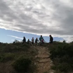 Klipheuwel Hiking Trails - Brackenfell