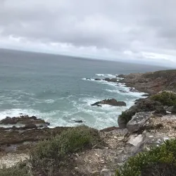 Bredasdorp Whale Trail - Bredasdorp