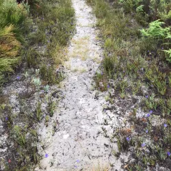 Bredasdorp Whale Trail - Bredasdorp