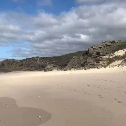 Bredasdorp Whale Trail - Bredasdorp