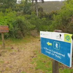 Bredasdorp Whale Trail - Bredasdorp