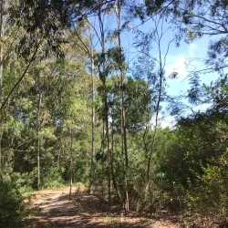 Bredasdorp Whale Trail - Bredasdorp