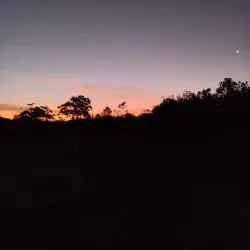 Bredasdorp Whale Trail - Bredasdorp