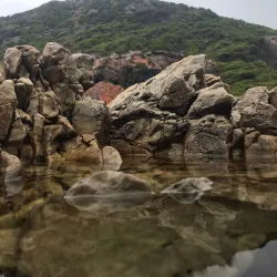 Bredasdorp Whale Trail - Bredasdorp