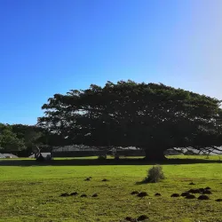 De Hoop Nature Reserve - Bredasdorp