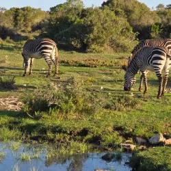 De Hoop Nature Reserve - Bredasdorp