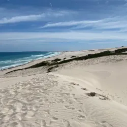 De Hoop Nature Reserve - Bredasdorp