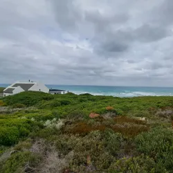 De Hoop Nature Reserve - Bredasdorp