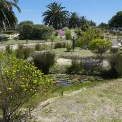 Fynbos Botanical Garden - Bredasdorp