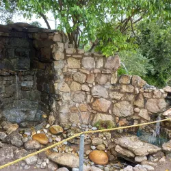 Fynbos Botanical Garden - Bredasdorp