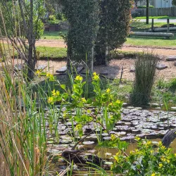 Fynbos Botanical Garden - Bredasdorp