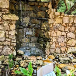 Fynbos Botanical Garden - Bredasdorp