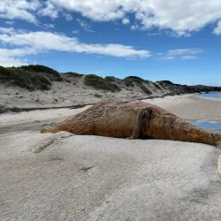 Hiking Trails around Bredasdorp - Bredasdorp