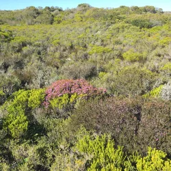 Hiking Trails around Bredasdorp - Bredasdorp