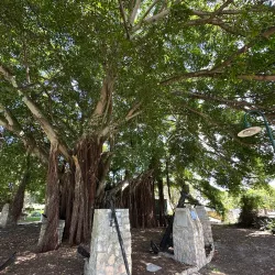 Shipwreck Museum - Bredasdorp