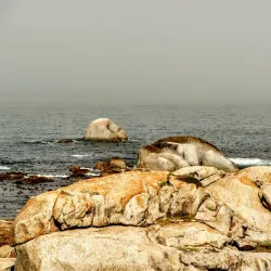 Camps Bay Beach - Cape Town
