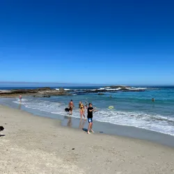 Camps Bay Beach - Cape Town