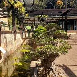 Kirstenbosch National Botanical Garden - Cape Town