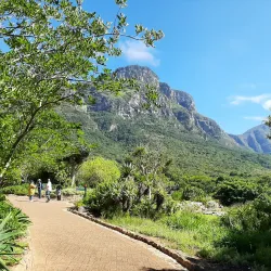 Kirstenbosch National Botanical Garden - Cape Town