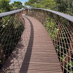 Kirstenbosch National Botanical Garden - Cape Town