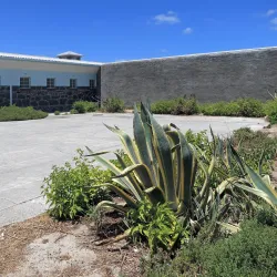 Robben Island - Cape Town