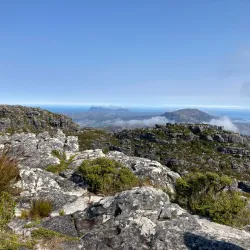 Table Mountain - Cape Town