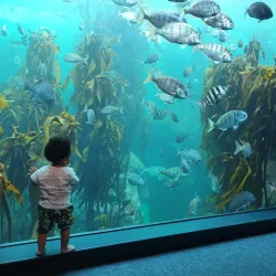 Two Oceans Aquarium - Cape Town