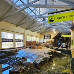 Two Oceans Aquarium - Cape Town