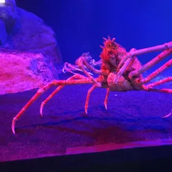 Two Oceans Aquarium - Cape Town