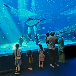Two Oceans Aquarium - Cape Town