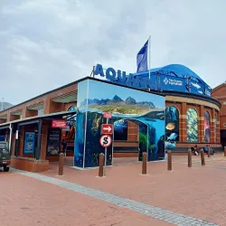 Two Oceans Aquarium - Cape Town
