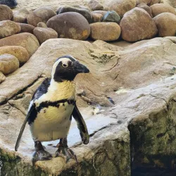 Two Oceans Aquarium - Cape Town
