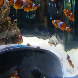 Two Oceans Aquarium - Cape Town