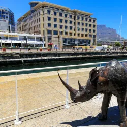 V&A Waterfront - Cape Town