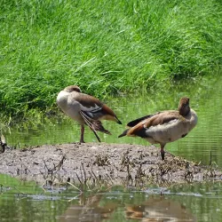 Centurion Lake Park - Centurion (Verwoerdburg)