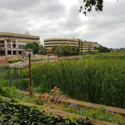 Centurion Lake Park - Centurion (Verwoerdburg)