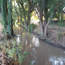 Cradock Golf Club - Cradock