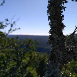 Great Fish River Nature Reserve - Cradock