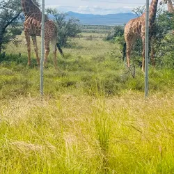 Mountain Zebra National Park - Cradock