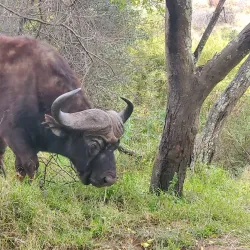 Mountain Zebra National Park - Cradock