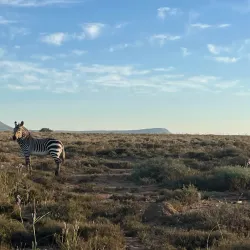 Mountain Zebra National Park - Cradock