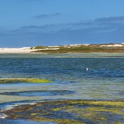 Drummond Nature Reserve - Drummond