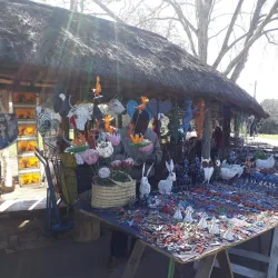 Howick Falls - Drummond