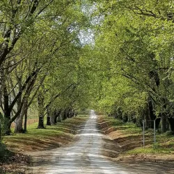 Karkloof Nature Reserve - Drummond