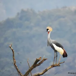 Karkloof Nature Reserve - Drummond