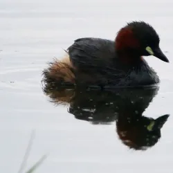 Karkloof Nature Reserve - Drummond