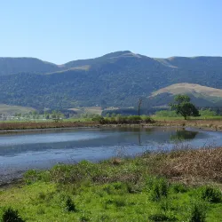 Karkloof Nature Reserve - Drummond